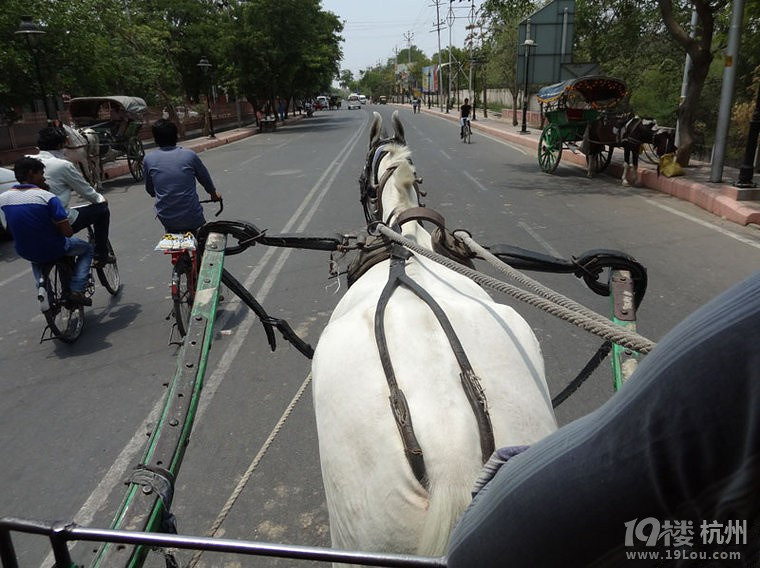 顶着被爆菊的风险单枪匹马深入印度腹地实探小