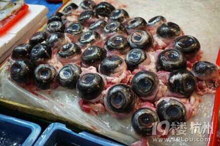 吃活章魚，享受喉嚨里滑動的美食！【玩命吃法攻略】
