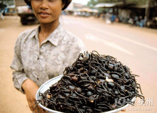 吃活章魚，享受喉嚨里滑動的美食！【玩命吃法攻略】