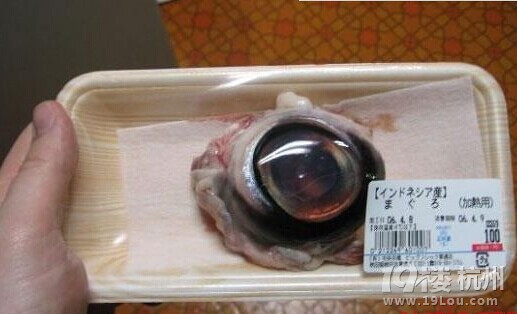 吃活章魚，享受喉嚨里滑動的美食！【玩命吃法攻略】