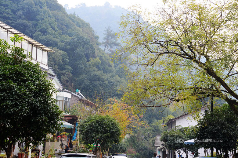 ·ɽǴ壨3