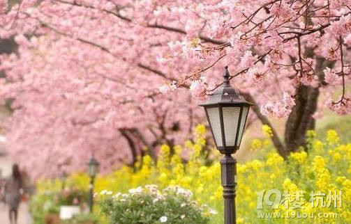 【完结】《军心荡漾》军婚\/宠文\/爆笑\/京味\/HE