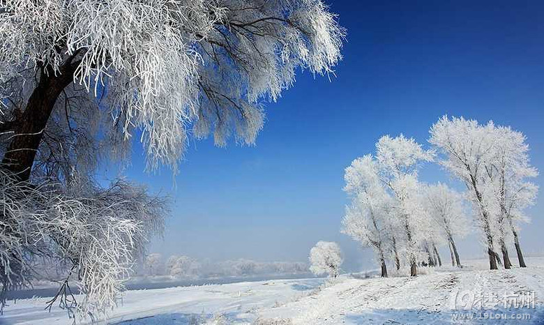 冬天爸爸去哪了~~今年雪乡去找吧~~!一月雪乡