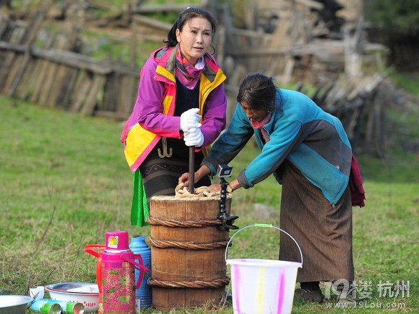 40岁林志玲参加综艺遭虐:没有优雅过-其他-电影