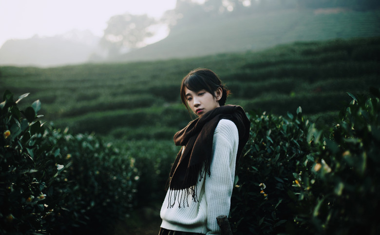 佳人如夢