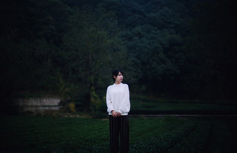 佳人如夢