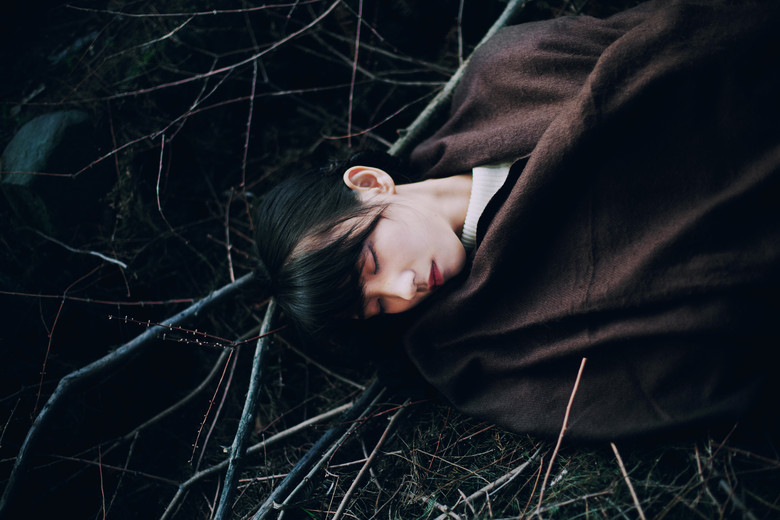佳人如夢