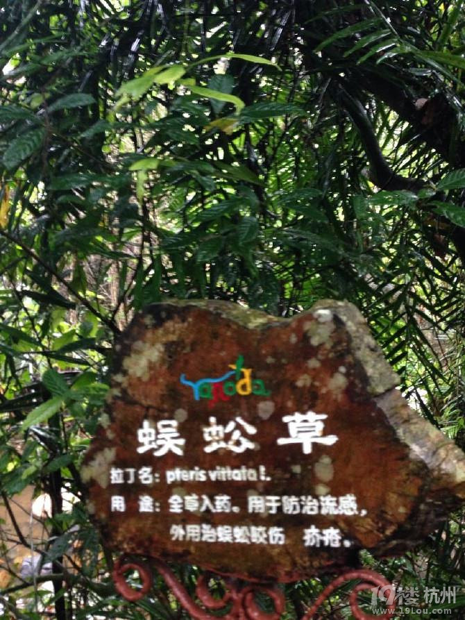 ----oϢĺõط