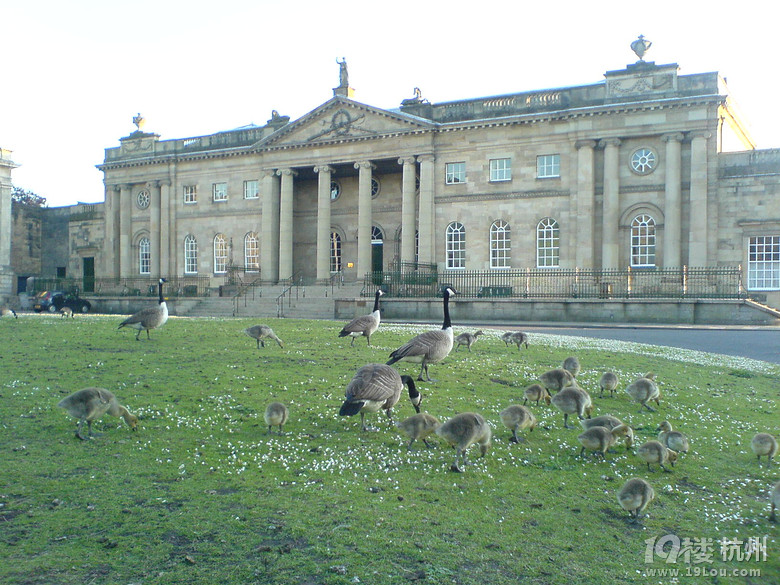 ★英国商科类最热门专业及院校要求-充电时间