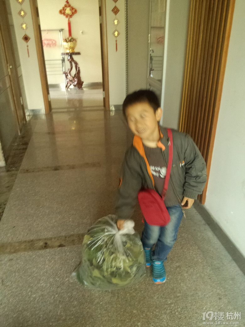 袋袋挣钱记-学龄期(4-6岁)-孩爸孩妈聊天室-杭州