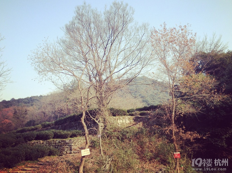 陽(yáng)光正好，年會(huì)超級(jí)happy