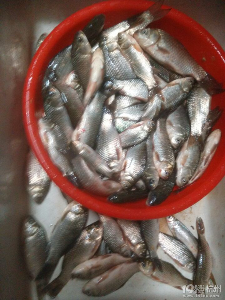 ̫ꖣ(x)һºþÛ]_(ti)