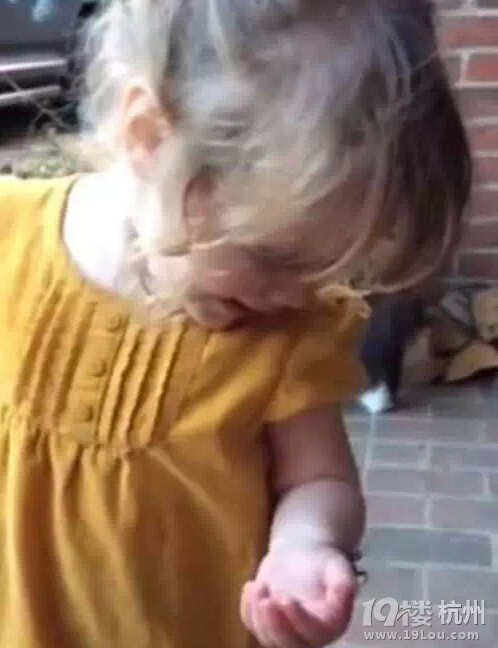 2歲小女孩看到蜘蛛在身上爬，不但不怕，反應(yīng)還超萌！ 