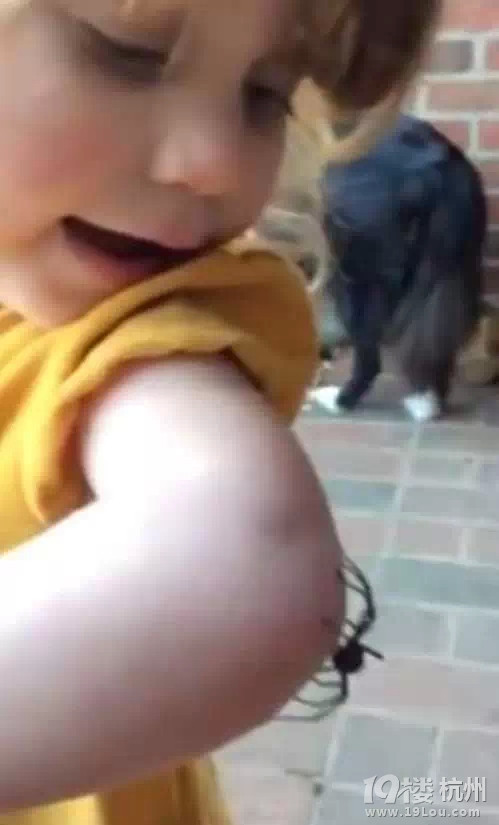 2歲小女孩看到蜘蛛在身上爬，不但不怕，反應(yīng)還超萌！ 
