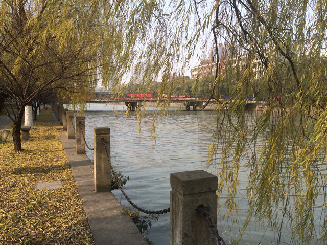 北风呼啸中-手机随手拍-杭州19楼