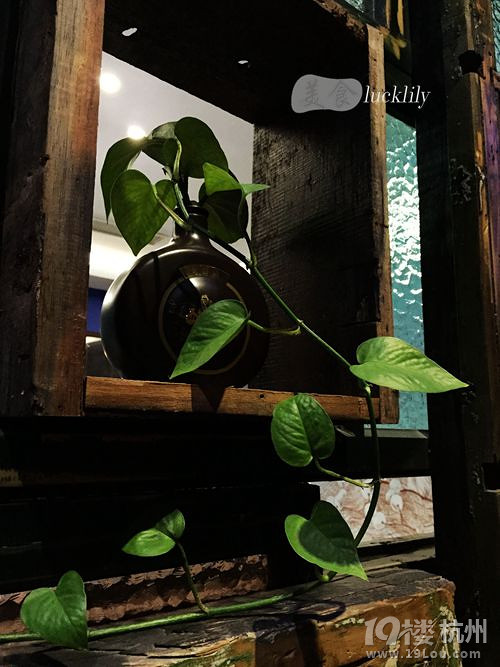【5隊】#舌尖上的杭州# 豆撈志——木龍記、藏鮮工坊、陽光碼頭