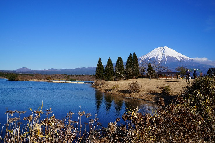 ---富士山的冬天,天很蓝,风很冷,很宁静---游记攻