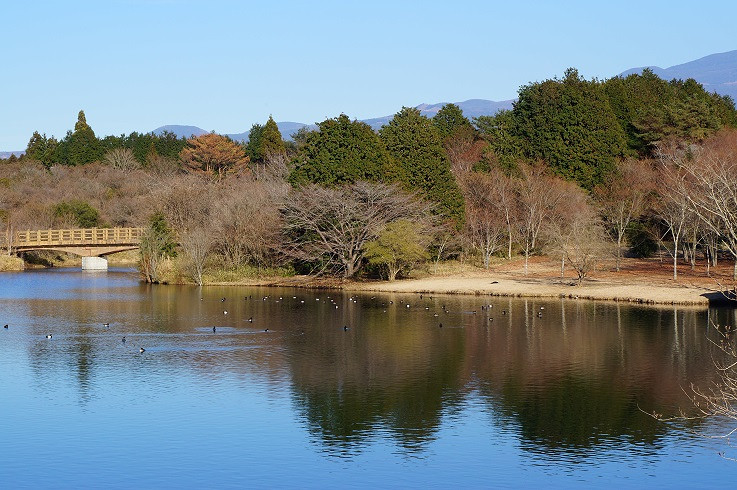 ---富士山的冬天,天很蓝,风很冷,很宁静---游记攻