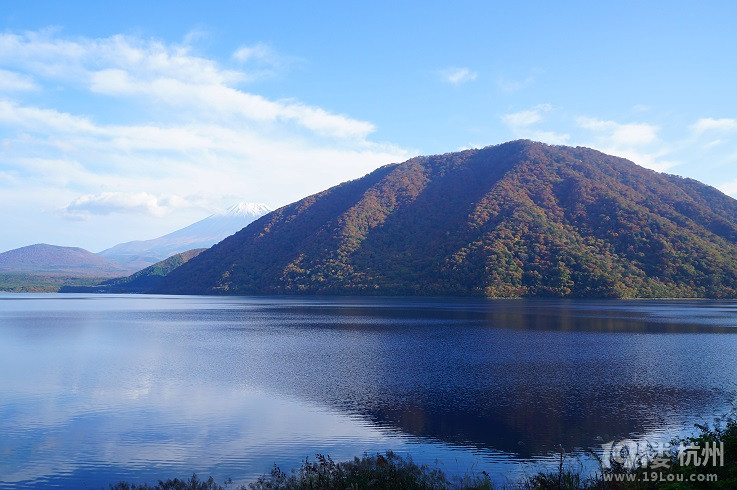 ---富士山的冬天,天很蓝,风很冷,很宁静---游记攻