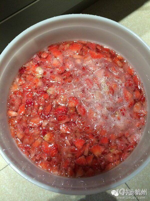 中国五天酵素桶之时令水果草莓酵素-Shopping