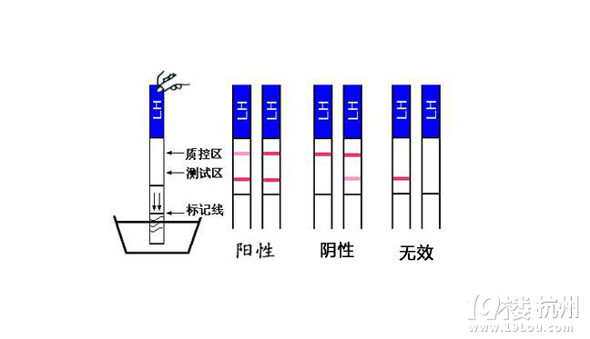 怎样容易受孕,怀孕的科学方法-想要宝宝-杭州1