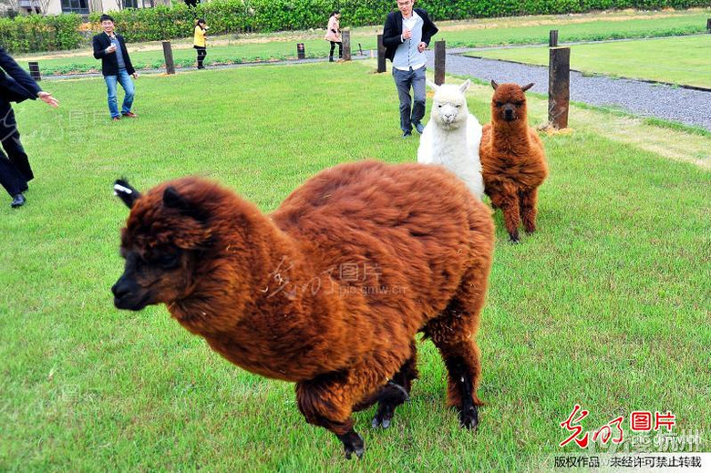 杭州附近的农家乐,哪里比较好,比如九溪、茅家