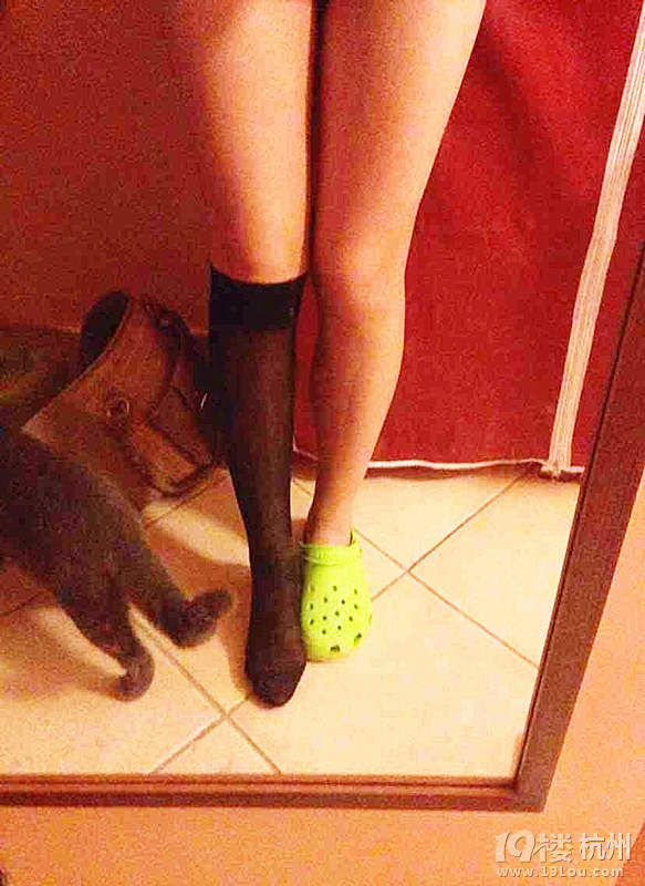 ]һСowĺ