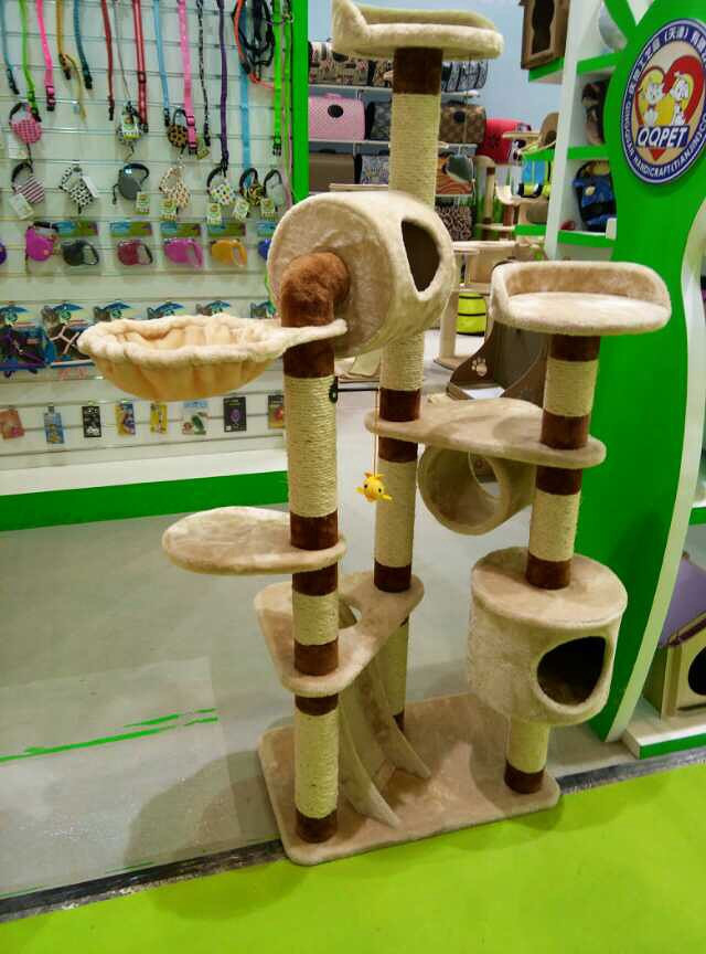 出售a视频超可爱高品质视频.加菲猫.v视频视频.支戴重镣猫咪图片