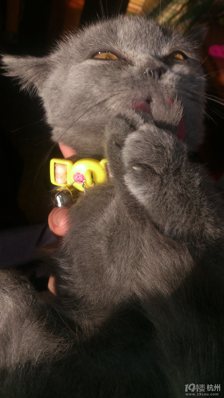 [蓝妹]知道么,毁掉一个萌物,有时候只需换一个角