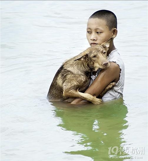 人间真情无处不在-深情分享-准妈妈论坛-杭州1