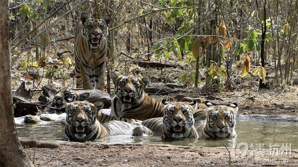 人间真情无处不在-深情分享-准妈妈论坛-杭州1