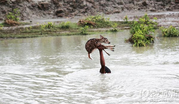 人间真情无处不在-深情分享-准妈妈论坛-杭州1