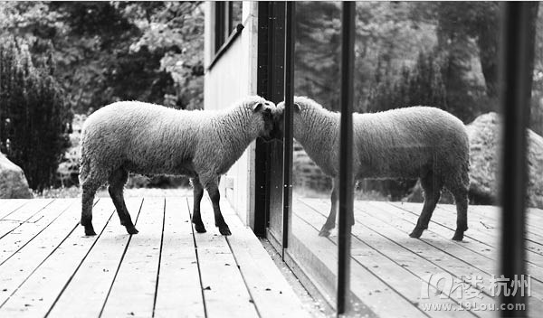 人间真情无处不在-深情分享-准妈妈论坛-杭州1