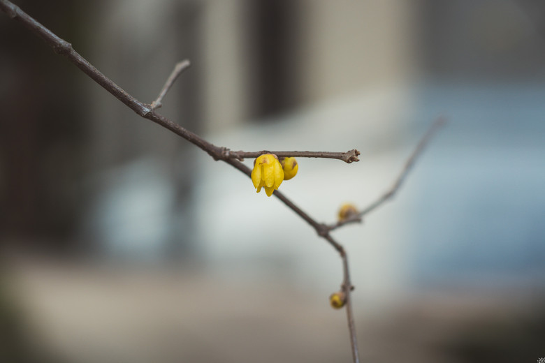 孤山不孤,-边走边拍-边走边拍-杭州19楼