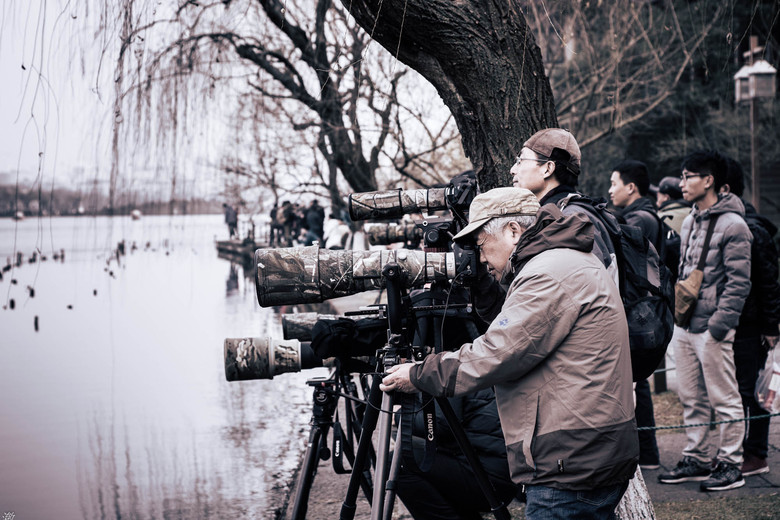 孤山不孤,-边走边拍-边走边拍-杭州19楼