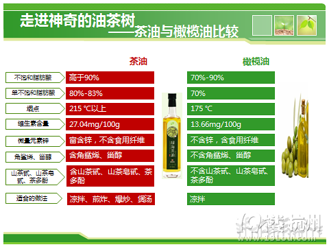 茶油养生-营养食谱-饮食养生-杭州19楼