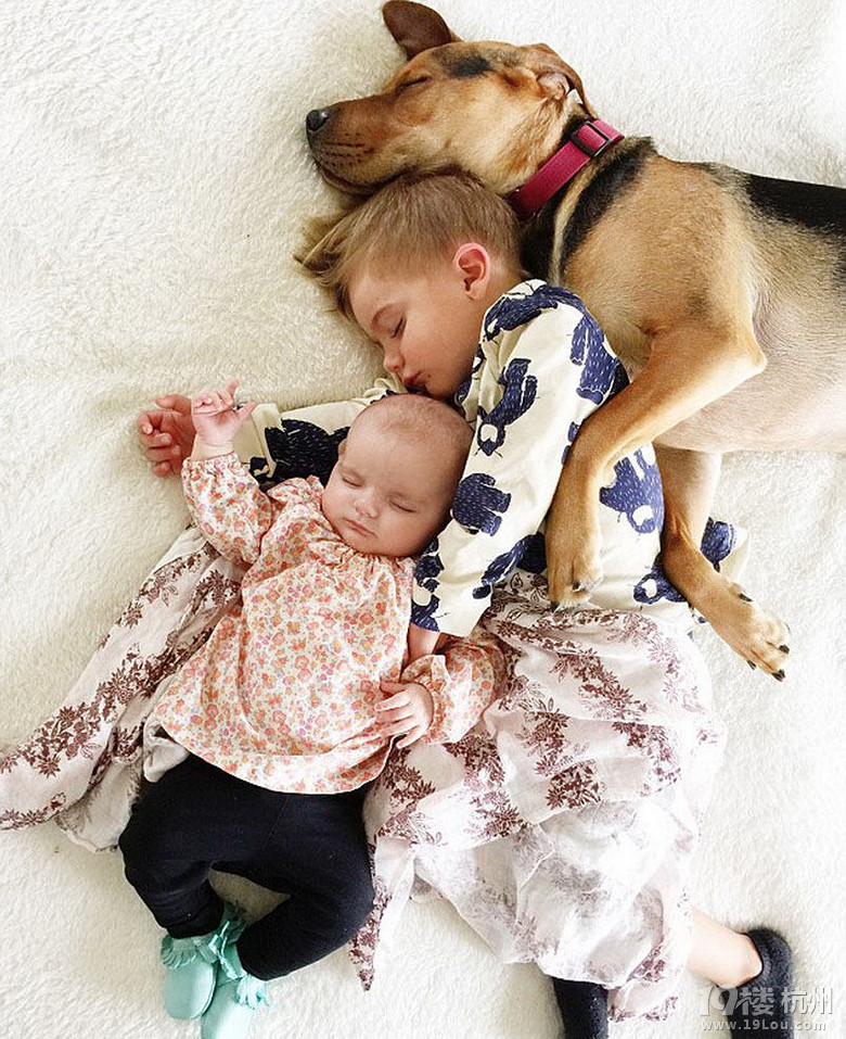 美国宝宝与宠物狗酣睡萌照走红网络-幼儿园论
