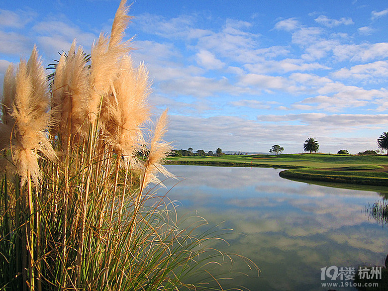 在奥克兰享受了豪华别墅的住宿--南半球之旅(五