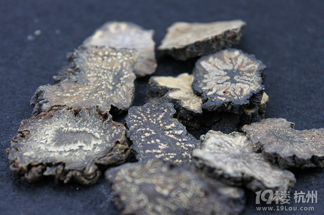 神秘的肉苁蓉-营养食谱-饮食养生-杭州19楼