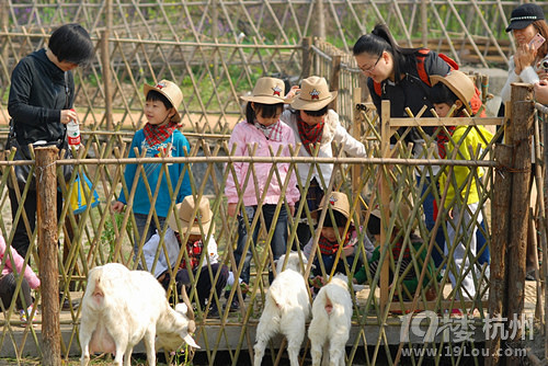 周末和宝贝们一起体验农耕文化-活动-大杭州旅