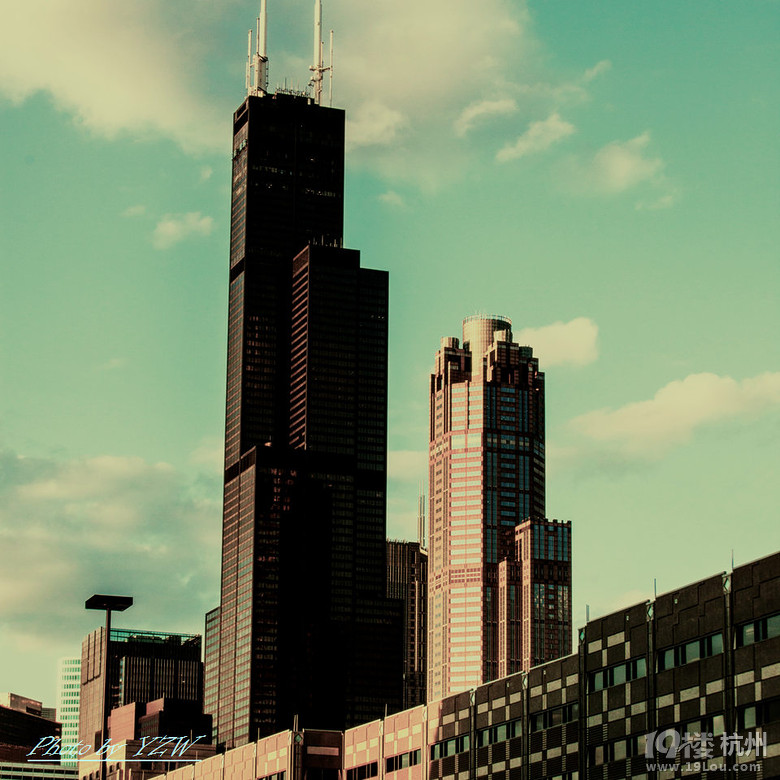 ֥Ӹ˹B(Sears Tower)