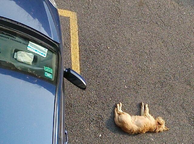 站岗-手机随手拍-杭州19楼