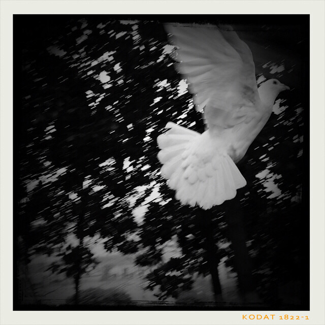 һMBƬ~by iphone