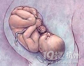 入盆是什么感觉?孕妈一定要知道-孕晚期(29-4