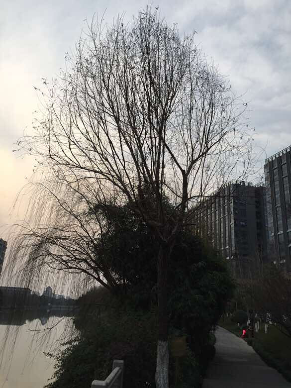 落班-手机随手拍-杭州19楼