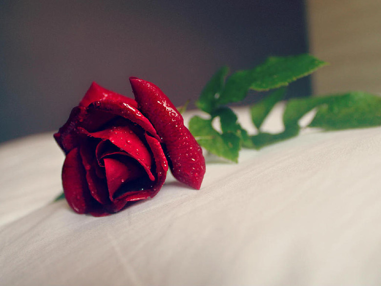 《读心术》:清闲丫头--(瘦文养肥中,更至16章)_