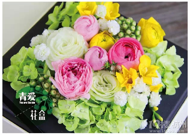 這個(gè)情人節(jié)，杭城上演浪漫“青愛”