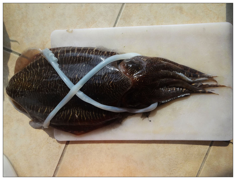 大乌贼-风景照-19摄区-杭州19楼