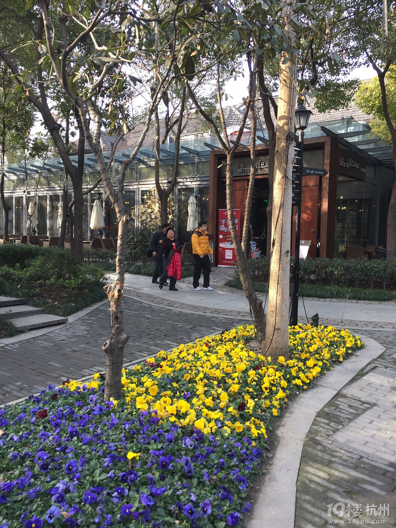 【19楼结婚体验团】壮士重返18岁