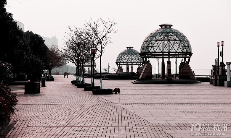 @ѹl(xing)־Ƭ ²ă